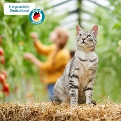 ZooRoyal Minkas Naturkost Kitten Huhn Und Lachs Mit Cranberries -Haustierzubehör zooroyal minkas hergestellt in deutschland webnpWafdNVJDo0h