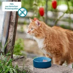 ZooRoyal Minkas Naturkost Kitten Huhn Und Lachs Mit Cranberries -Haustierzubehör zooroyal minkas kitten 70 prozent tierische proteinquellen webfPBVX1U2SM5Vv